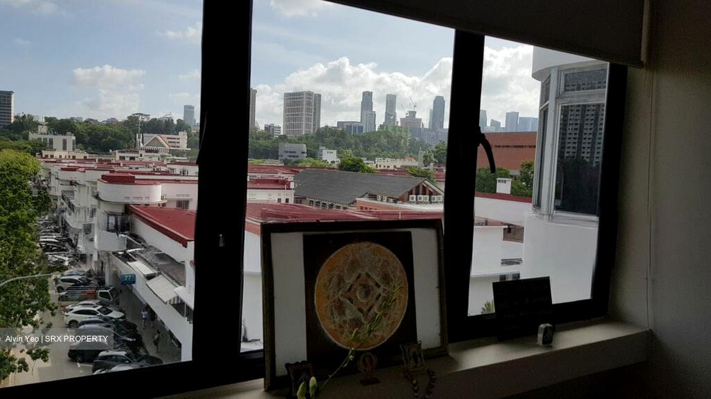Tiong Bahru Estate (D3), Apartment #504789251